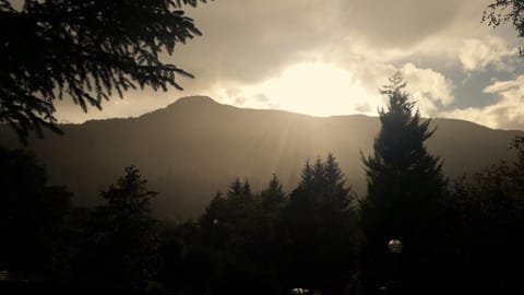 Spring, Natural landscape, Sunset