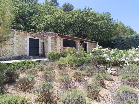 Air-conditioned Stylish Provence Villa Villa in Ménerbes