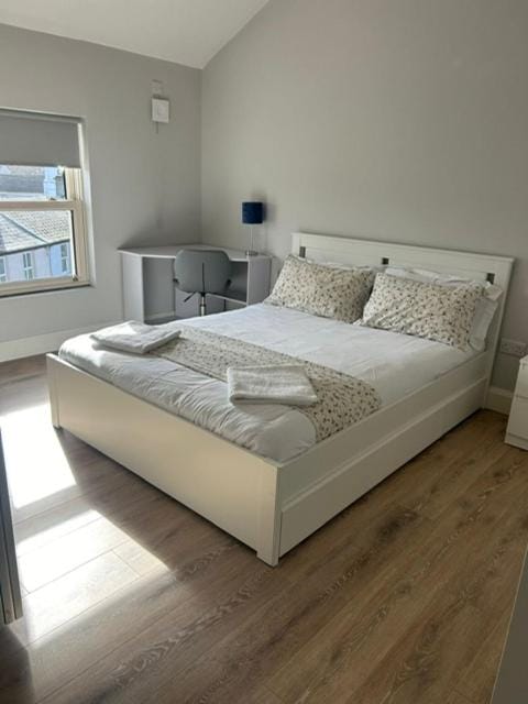 Nile Lodge Apartment in Galway