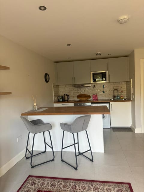 Nile Lodge Apartment in Galway