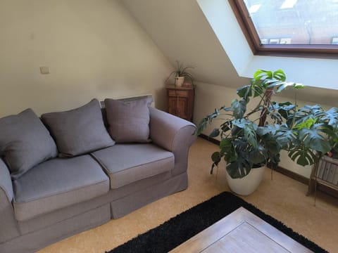 Magnolia Apartment in Wallonia, Belgium