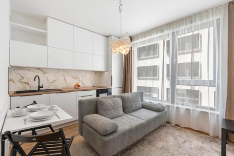 Kitchen or kitchenette, Living room, Seating area, Dining area, stove