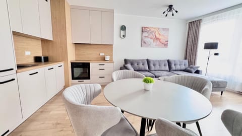 Kitchen or kitchenette, Living room, stove