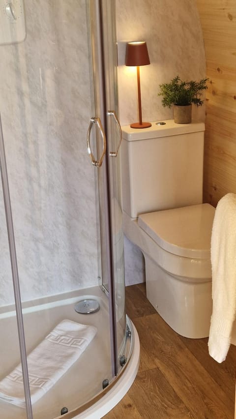 Shower, Toilet, Bathroom, Bath, towels