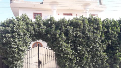 Property building, Spring, Day, Garden