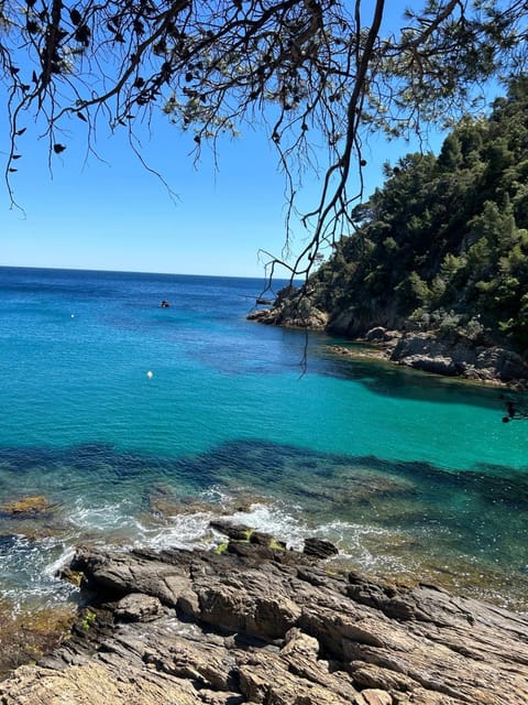 Nearby landmark, Natural landscape