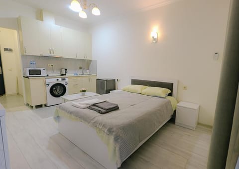 Bed, Kitchen or kitchenette, Photo of the whole room, Bedroom, minibar, pet friendly, towels, washing machine