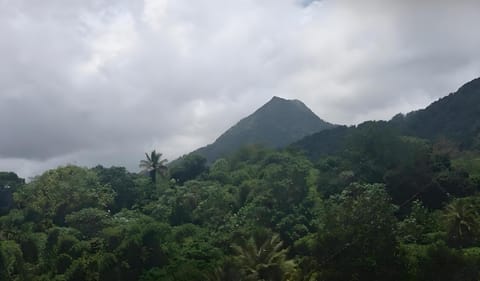 Natural landscape, Mountain view