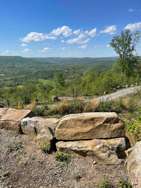 Harper Tree Top House in Alabama