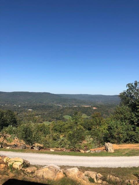 Harper Tree Top House in Alabama