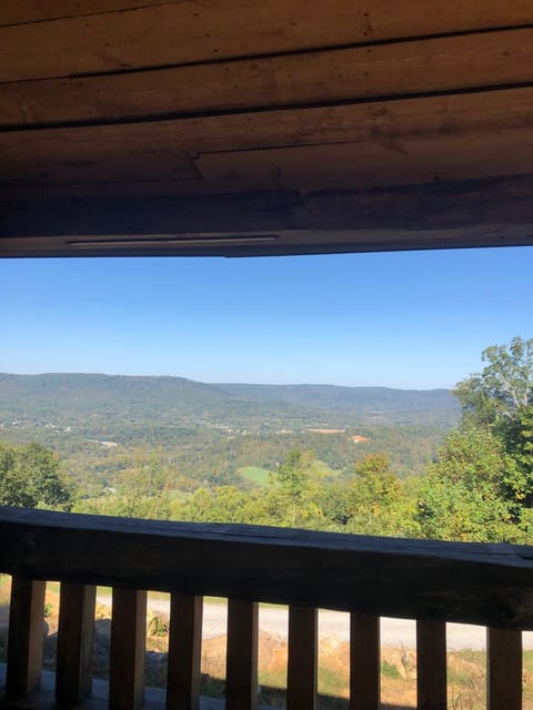 Harper Tree Top House in Alabama