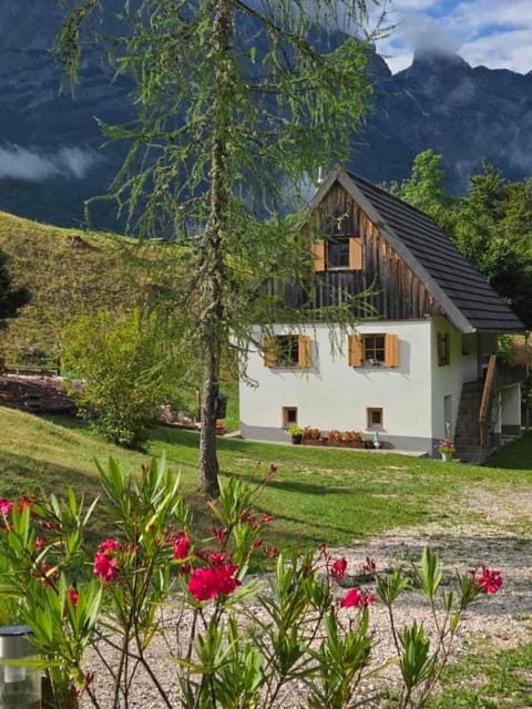 Natural landscape, Garden, Garden view, Family