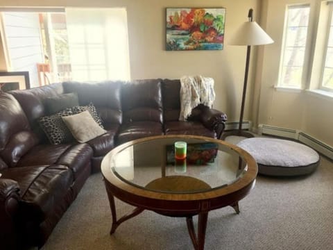 Edwards Mountain Chic On River Pool and Hot Tubs House in Edwards