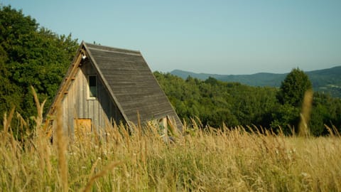 Natural landscape, Garden, Mountain view