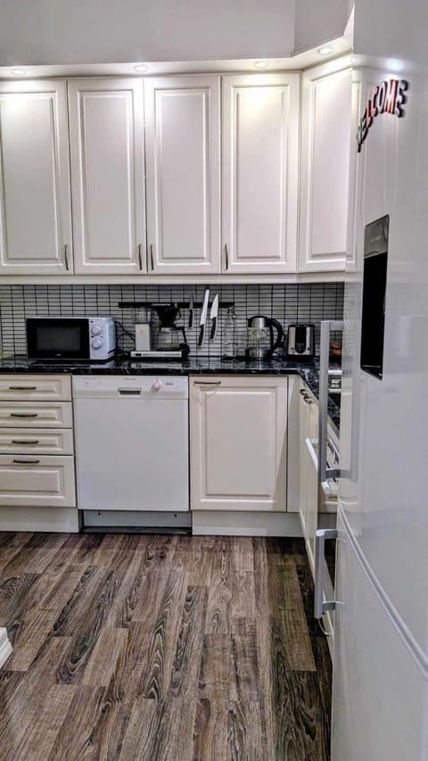 Kitchen or kitchenette, dishwasher, stove, toaster