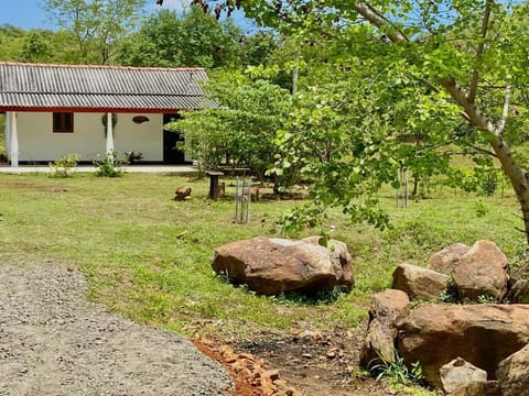 Property building, Garden, Garden view