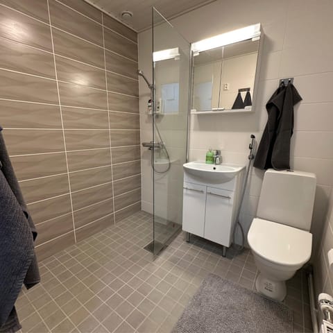 Sky Ivalo Apartment in Lapland