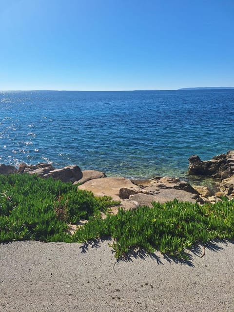 Bravarica Green Apartment in Novalja