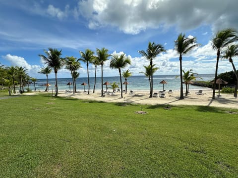 Natural landscape, Beach, On site