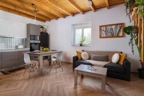 Kitchen or kitchenette, Living room, Seating area, Dining area, oven