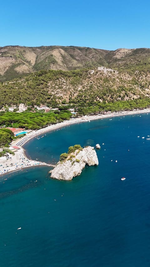 Natural landscape, Bird's eye view, Beach