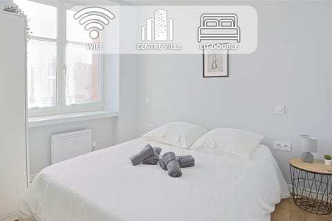 L'Ecrin Secret Centre-ville Apartment in Saint-Étienne