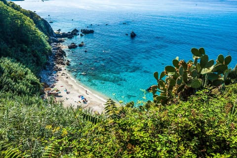 Natural landscape, Beach