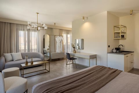 Bed, Kitchen or kitchenette, Living room, Photo of the whole room, Seating area, Bedroom