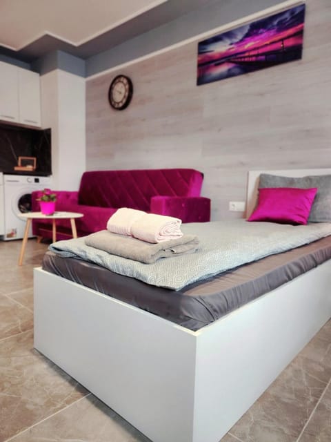 Continental studios 3 Apartment in Sofia