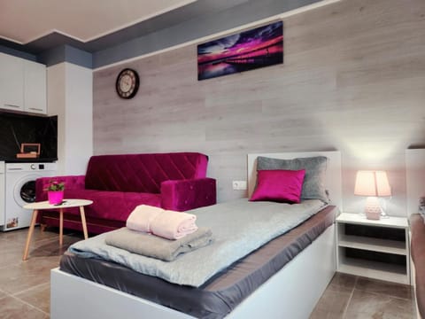 Continental studios 3 Apartment in Sofia