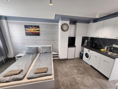 Continental studios 2 Apartment in Sofia