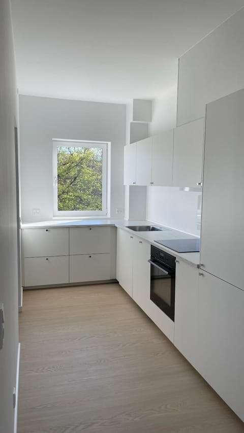 Kitchen or kitchenette, dishwasher, oven, stove