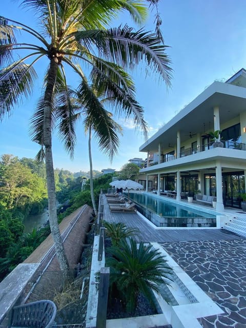 Property building, Day, Natural landscape, Garden, Garden view, Pool view, Swimming pool