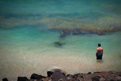 Natural landscape, Beach, Sea view