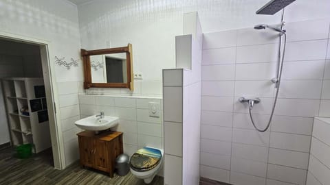 Shower, Toilet, Bathroom, Decorative detail, Decorative detail