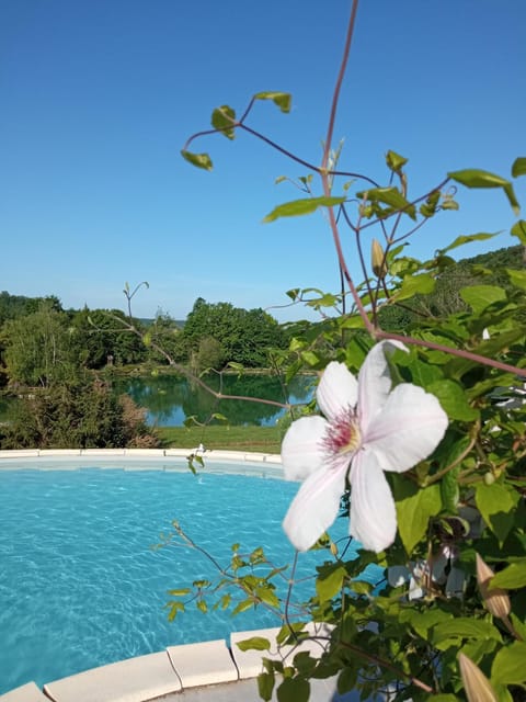 Spring, Natural landscape, Garden, Garden view, Pool view, Swimming pool, Swimming pool, Open Air Bath