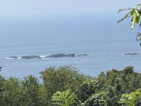 Sea view