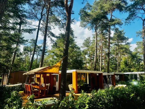 Natural landscape, Garden, Garden view