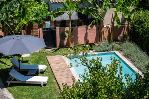 Garden, Garden view, Pool view, Swimming pool, sunbed