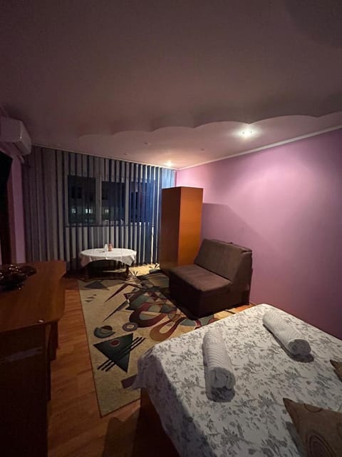 Garsonieră Băile Herculane Apartment in Serbia