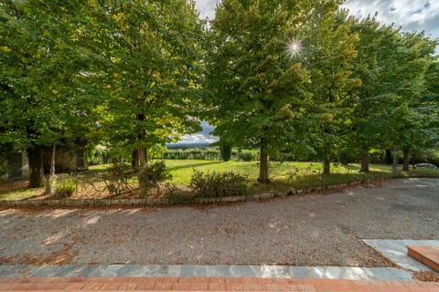 Spring, Day, Natural landscape, Garden, Garden view