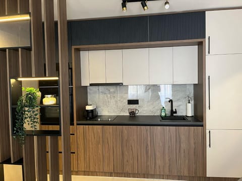 Coffee/tea facilities, Kitchen or kitchenette, minibar, stove