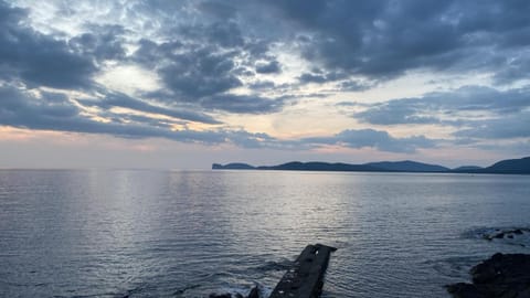 La Scogliera Apartment in Alghero