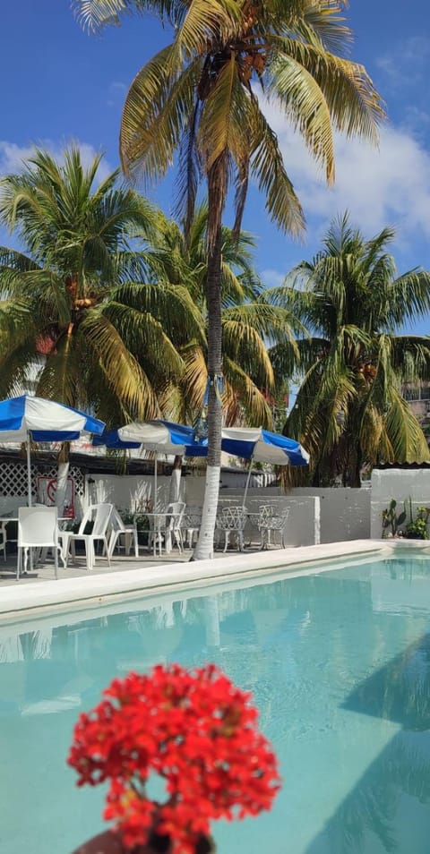 Balcony/Terrace, Swimming pool