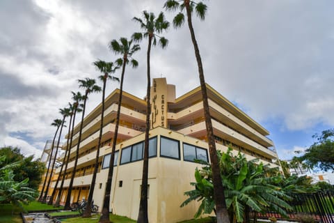 Property building, Day