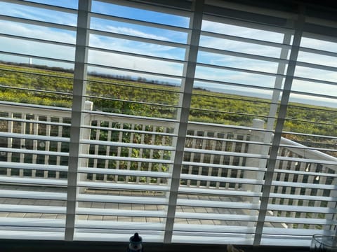 Down By The Bay Campground/ 
RV Resort in Whitley Bay