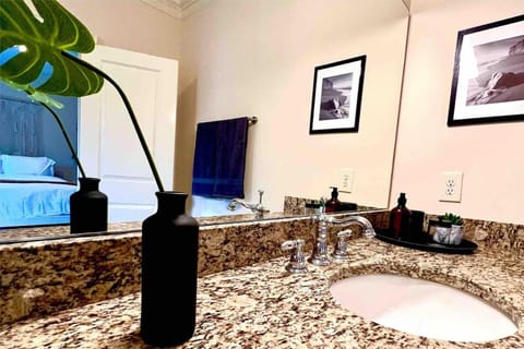 Luxury Buckhead executive Oasis for Family or work Villa in Sandy Springs