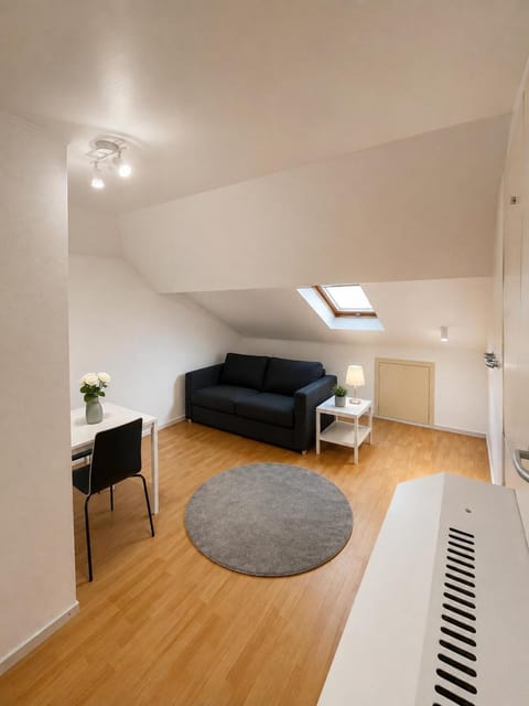 Living room, Photo of the whole room, Seating area, towels