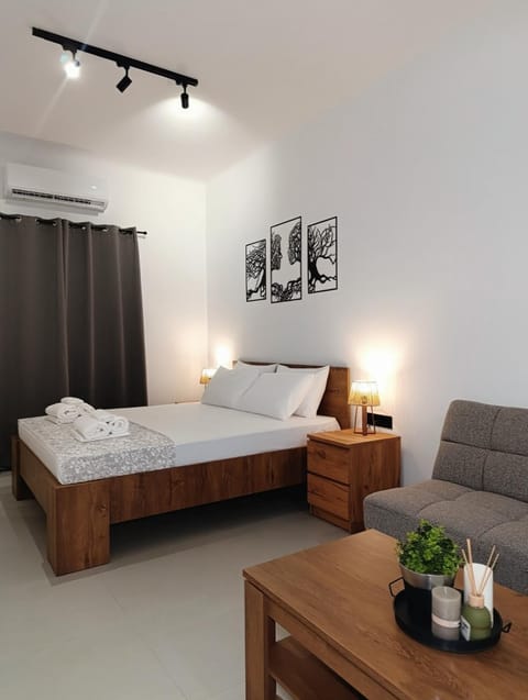 Bed, Living room, Photo of the whole room, Seating area, Bedroom