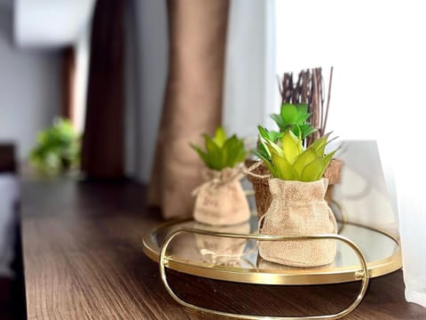 V&P Apartments Apartment in Bitola